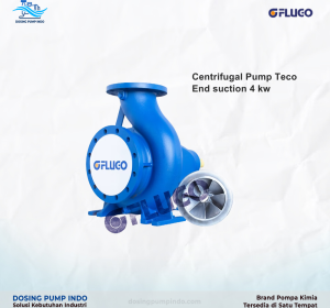 Flugo Pump Teco End suction 4 kw